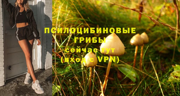 прущие крисы Аркадак