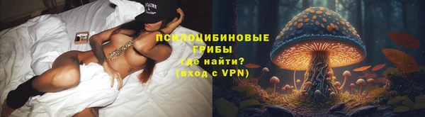 прущие крисы Аркадак
