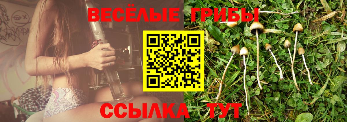 Псилоцибиновые грибы GOLDEN TEACHER Вольск